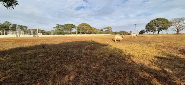 Fazenda/Sítio à venda, 37575m² no Área Rural de Mogi Mirim, Mogi Mirim