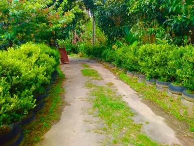 Fazenda/Sítio com 2 Quartos à venda, 70m² no Pindorama, Mogi das Cruzes