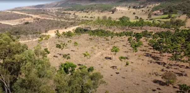 Lote/Terreno à venda, 20000m² no , Cordisburgo