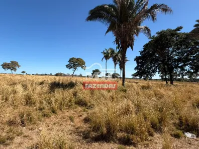 Fazenda/Sítio à venda, 1m² no , Cocalinho