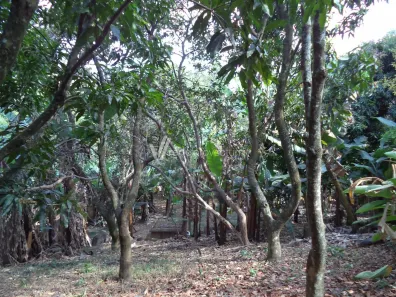 Lote/Terreno à venda, 1027m² no Joapiranga, Valinhos