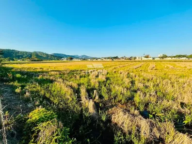 Lote/Terreno à venda, 5600m² no Margem Esquerda, Gaspar