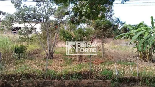 Lote/Terreno à venda, 336m² no Jardim das Paineiras, Campinas