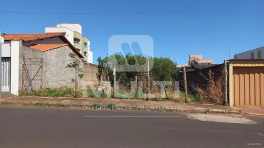Lote/Terreno com 1 Quarto à venda, 360m² no Segismundo Pereira, Uberlândia