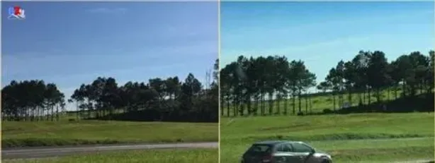 Lote/Terreno para alugar, 10900m² no Indaiatuba, Porto Feliz