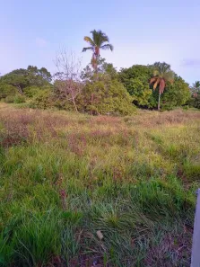 Lote/Terreno à venda, 396m² no , Ipojuca