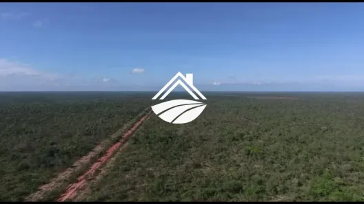 Fazenda/Sítio à venda, 1m² no Centro, São Luís