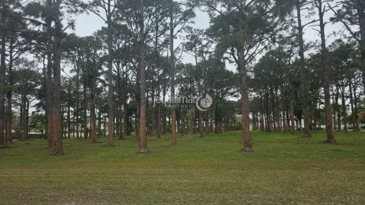 Lote/Terreno à venda, 1000m² no Jardim Acapulco, Guarujá