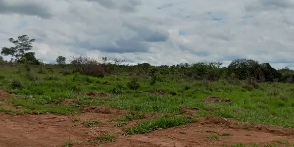 Lote/Terreno à venda, 20000m² no , Jequitibá