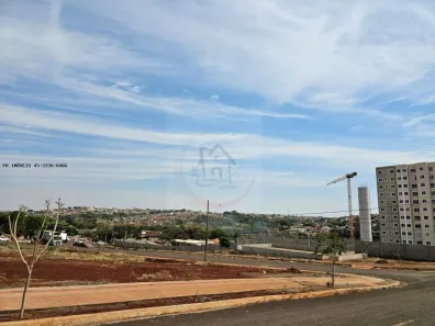 Lote/Terreno à venda, 250m² no Paraíso, Londrina
