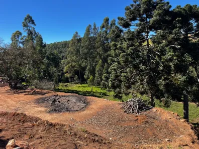 Lote/Terreno à venda, 3000m² no , Bueno Brandão