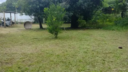 Fazenda/Sítio com 4 Quartos à venda, 30000m² no , Camaragibe
