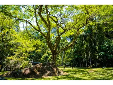 Lote/Terreno à venda, 380257m² no Tiroleses, Timbó