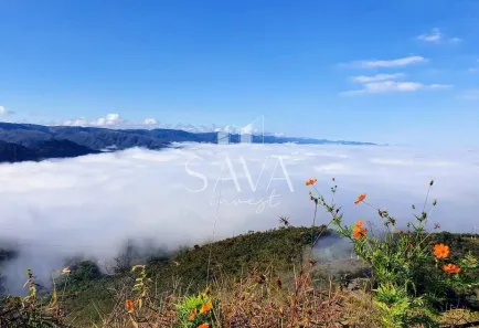 Lote/Terreno à venda, 1000m² no , Brumadinho