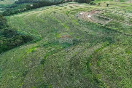 Fazenda/Sítio à venda, 20200m² no Centro, Monte Alto