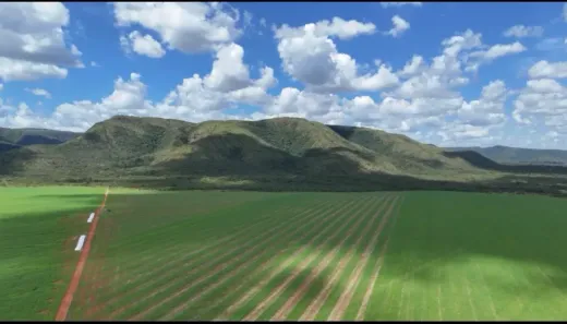 Fazenda/Sítio com 5 Quartos à venda, 1736m² no Área Rural de Formosa, Formosa