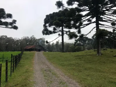 Fazenda/Sítio com 1 Quarto à venda, 40000m² no Serra Grande, Gramado