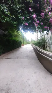 Apartamento com 3 Quartos para alugar, 59m² no Vila Butantã, São Paulo