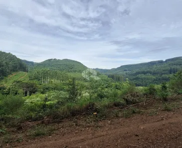 Lote/Terreno à venda, 976m² no , Nova Petrópolis