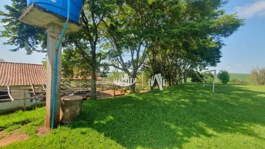 Fazenda/Sítio à venda, 363000m² no Recanto dos Pinheiros, Cambé