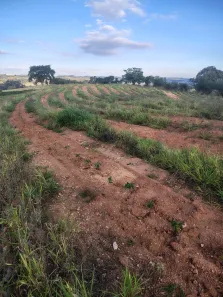 Fazenda/Sítio à venda, 84700m² no , Monte Santo de Minas