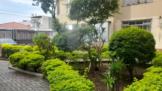 Apartamento com 3 Quartos à venda, 78m² no Vila Constança, São Paulo