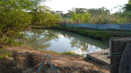 Fazenda/Sítio com 4 Quartos à venda, 120m² no Álvares Machado, Álvares Machado