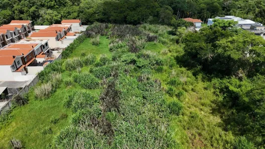 Lote/Terreno à venda, 10000m² no Colônia Dona Luíza, Ponta Grossa