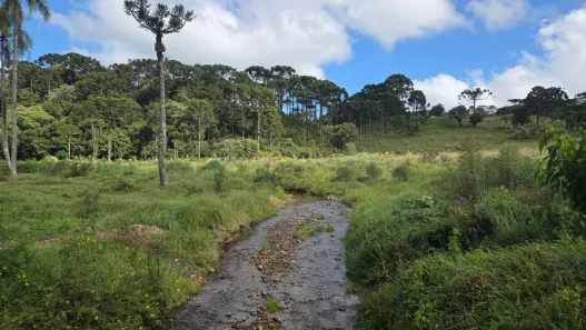Lote/Terreno à venda, 36367m² no Laranjeiras, Campo Alegre