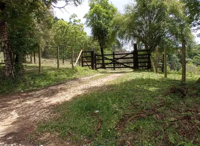 Fazenda/Sítio com 4 Quartos à venda, 48m² no Roseira, Colombo