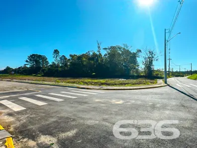 Lote/Terreno à venda, 361m² no Centro, Araquari