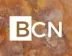 Miniatura da foto de Bcn Consultoria e Gestao Ltda