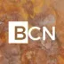 Miniatura da foto de Bcn Consultoria e Gestao Ltda
