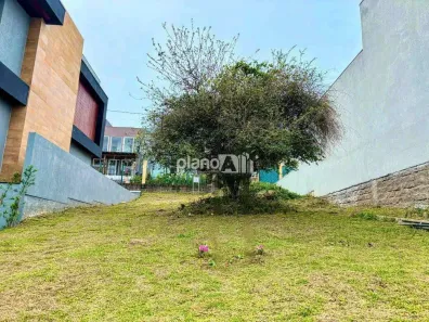 Lote/Terreno à venda, 250m² no Loteamento Jardim Timbaúva, Gravataí