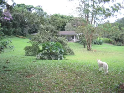 Fazenda/Sítio com 4 Quartos à venda, 400m² no Centro de Ouro Fino Paulista, Ribeirão Pires
