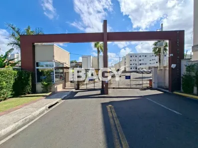 Apartamento com 2 Quartos para alugar, 46m² no Serraria, São José