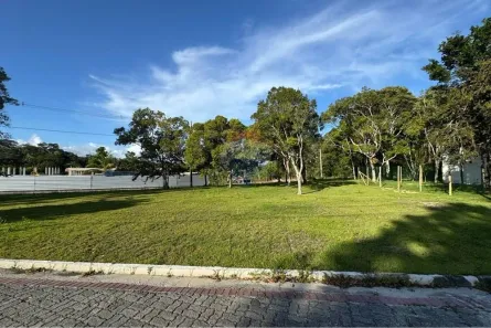 Lote/Terreno à venda, 1000m² no Arraial D'Ajuda, Porto Seguro