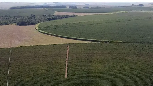 com 1 Quarto à venda, 1000m² no Centro, Unaí