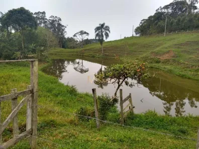 Fazenda/Sítio com 3 Quartos à venda, 90m² no Centro, Imaruí