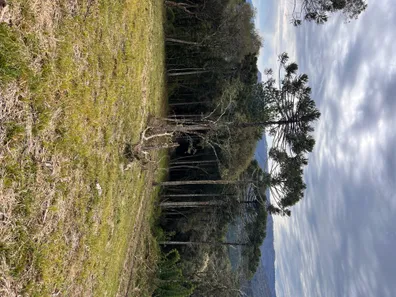 Lote/Terreno à venda, 20000m² no , Urubici