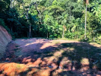 Lote/Terreno à venda, 595m² no São Pedro, Brusque