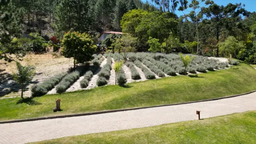 Casa de Condomínio com 4 Quartos à venda, 20000m² no , Domingos Martins