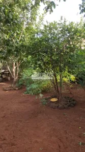 Lote/Terreno à venda, 424m² no Boa Vista, Uberaba