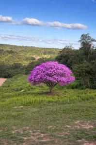 Lote/Terreno à venda, 500m² no Ibiúna, Ibiúna