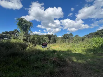 Lote/Terreno à venda, 160600m² no Linha 15, Gramado