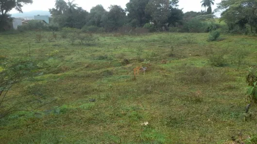 Lote/Terreno à venda, 200m² no Colônia do Marçal, São João Del Rei