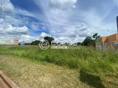 Lote/Terreno à venda, 5000m² no Chácaras Vila Real, Uberaba