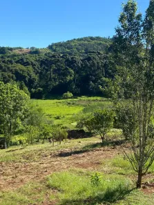 Fazenda/Sítio com 1 Quarto à venda, 20000m² no Linha Bonita, Gramado