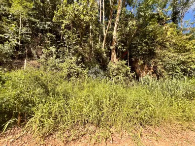 Lote/Terreno à venda, 1464m² no Apolinário, Mairiporã