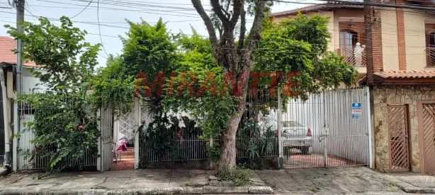 Lote/Terreno à venda, 250m² no Vila Pereira Barreto, São Paulo